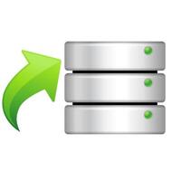 Database icon in color. hard disk server web hosting vector