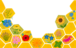 Blumen- Süss Honig Hintergrund. Aquarell Textur von Bienenstock Bienenwabe mit Wiese Blumen horizontal Banner. süß Hexagon Gitter Zellen, Wildblumen, Gelb organisch Honig drucken, Bienenzucht Grenze, Rahmen png