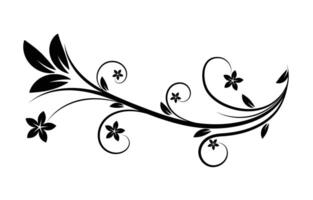 Floral flourish vector ornament design.