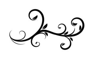 Floral flourish vector ornament design.