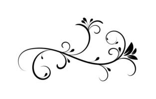 Floral flourish vector ornament design.