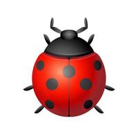 Bug icon in color. Insects, computer virus vector