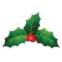 Holly leaves icon in color. Celebration merry greeting vector