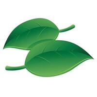 Leaves icon in color. Green environment vector