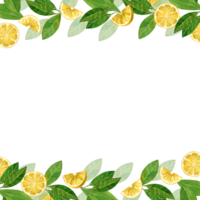 vattenfärg illustration. fyrkant ram med citron- skivor och skivor och grön löv. Allt element är hand målad med vattenfärger. för utskrift på tyg och papper, för design bindor och handdukar png