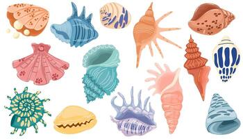 conjunto de conchas marinas y estrellas de mar perla corral y caracol conchas mar vida elementos. vector garabatear dibujos animados conjunto de marina vida objetos para tu diseño.