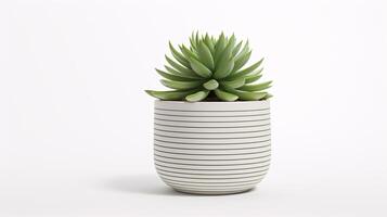 AI generated Different type of Succulent plants in a light, white colored pot with a light background photo