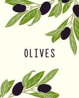 Background banner design with olive products. Olive branch in simple handmade style with dark fruits. vector