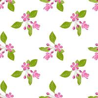 Cherry blossom branch with hand drawn sakura flower. Sakura pattern. vector