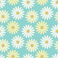 Seamless pattern of yellow and white daisies chamomile on turquoise background. vector
