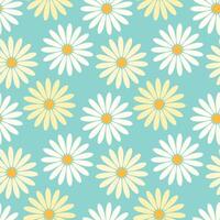 Seamless pattern of yellow and white daisies chamomile on turquoise background. vector