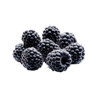 AI generated Blackberry isolated on Background. PNG Fruits Transparent Background