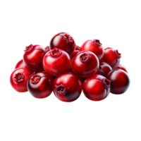 AI generated Cranberry isolated on Background. PNG Fruits Transparent Background