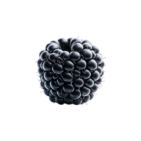 AI generated Blackberry isolated on Background. PNG Fruits Transparent Background