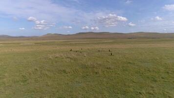 Summer Landscape with Clear Blue Sky video