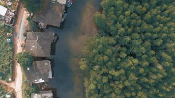 aereo Visualizza di sul fiume villaggio video