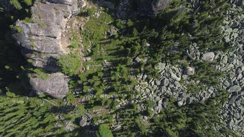 aérien vue - boisé montagnes video