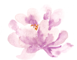 naranja y púrpura Rosa acuarela flor para Boda invitación png