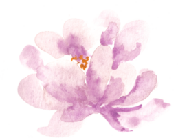 arancia e viola rosa acquerello fiore per nozze invito png