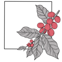 café plante frontière et Cadre illustration png