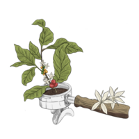 Portafilter with coffee plant growing there png