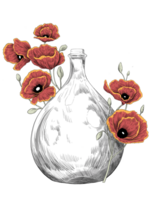 papavero nel il vaso botanico illustrazione png