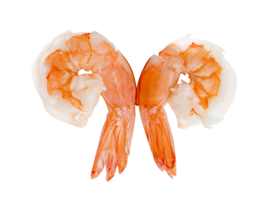 cooked shrimp isolated png