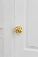 gold door knob handle. reflective surface and modern design add touch of luxury to entrance door. Crafted with metal and wood, this round knob shines with style and security. photo