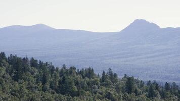 hermosa ver en pieniny nacional parque con soleado Mañana y niebla. increíble natural ver de Tres hermanas con montaña niebla en azul montañas. video