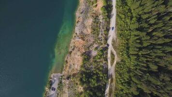 mattina silenzioso fiume con foresta. sparo. aereo Visualizza. volante al di sopra di il bellissimo montagna fiume e foresta. aereo telecamera sparo. aereo panorama di il verde foresta e vicino montagna fiume. paesaggio video