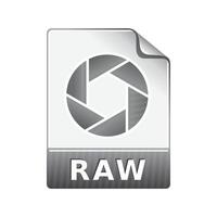 RAW file format icon in color. Data computer information vector