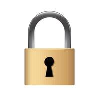 Padlock icon in color. Safety protection guard vector