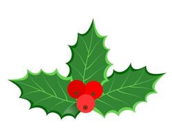 christmas holly berries stock vector illustration isolated on white background