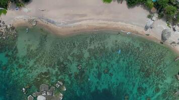 antenne visie van tropisch lagune video
