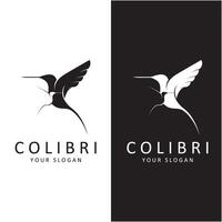 Beautiful Simple Bird Colibri Logo Design Vector