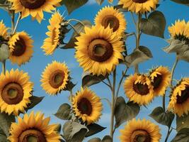 AI generated Sunflower Bathed in Sunshine Against a Blue Sky Canvas photo