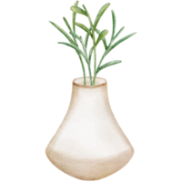 Plant in Minimal Ceramic Vase Watercolor Illustration png