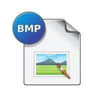 Picture file format icon in color. Image photography camera vector