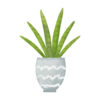 aloès Vera plante pot png