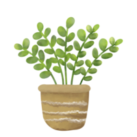 Houseplants in pot clip art png