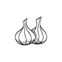 Hand drawn sketch icon garlic vector