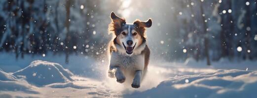 ai generado contento corriendo perro en invierno nieve bosque antecedentes a soleado brillante día. panorama con Copiar espacio. foto