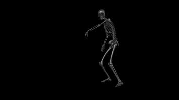 dansen skelet animatie - intrigeren en mystiek video