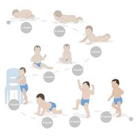 Stages of growing and development baby, vector growth toddler, age process up, infancy and newborn. Illustration of baby growth, crawling and walk, playing process, first step and up