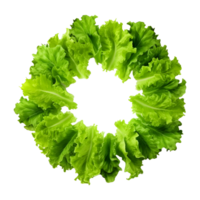 ai generado redondo verde hoja vegetales en transparente antecedentes - ai generado png