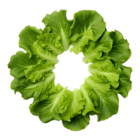 AI generated Round Green Leaf Vegetables on Transparent background - Ai Generated png