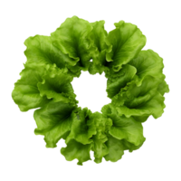 AI generated Round Green Leaf Vegetables on Transparent background - Ai Generated png