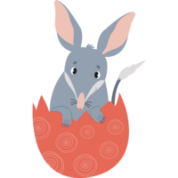bilby in Easter egg png