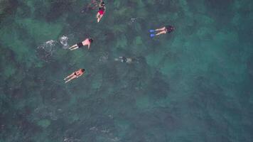 Aerial Snorkeling Perspective video