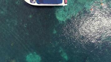 Snorkeling in Coral Bay - Explore Underwater World video